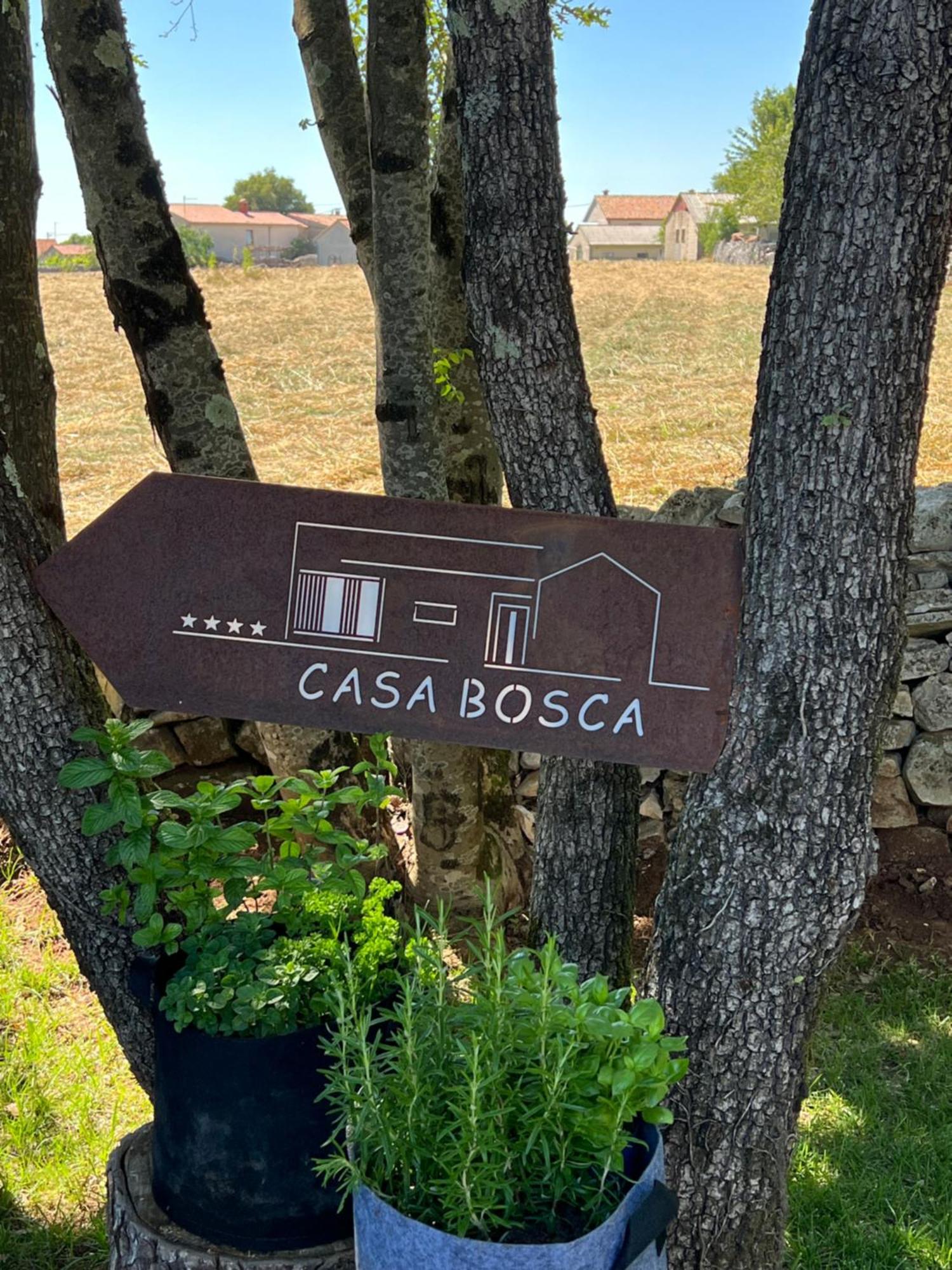 Casa Bosca With Heated Pool Villa Sveti Petar u Sumi Bagian luar foto