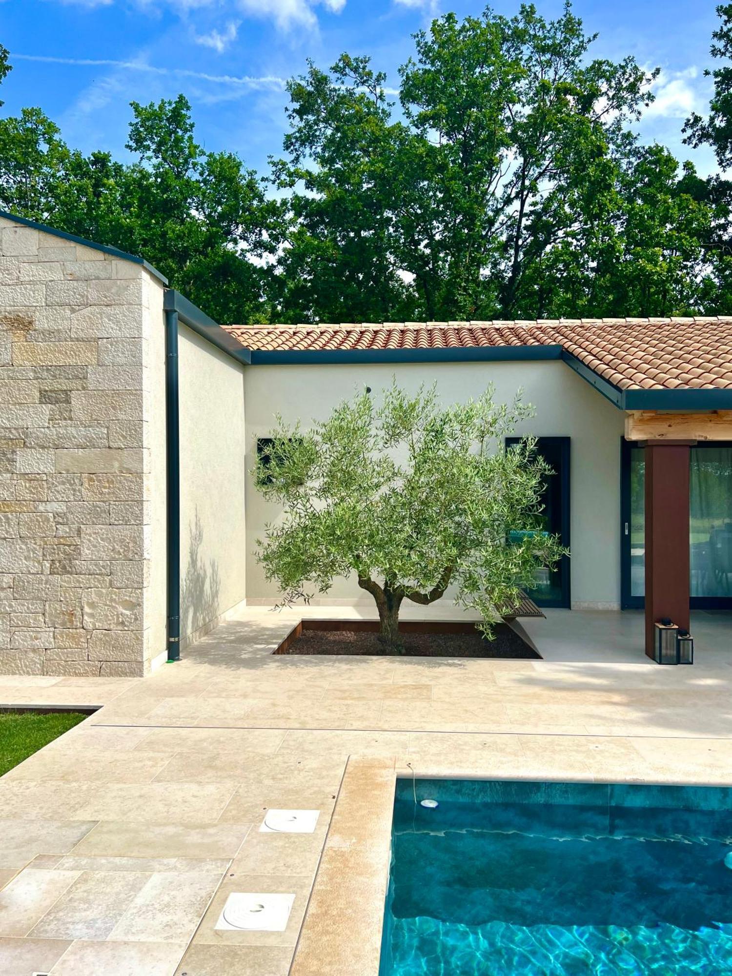 Casa Bosca With Heated Pool Villa Sveti Petar u Sumi Bagian luar foto